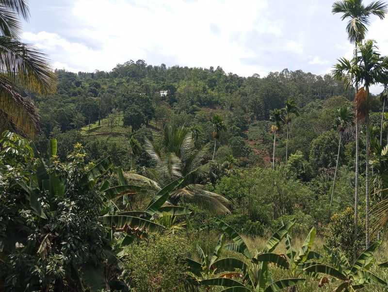 House  Near Uva Wellassa University