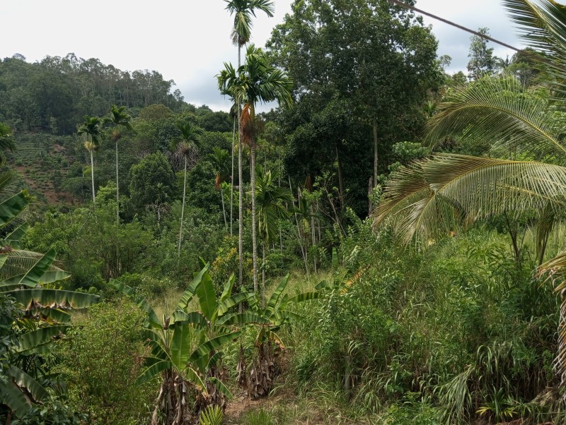 House  Near Uva Wellassa University