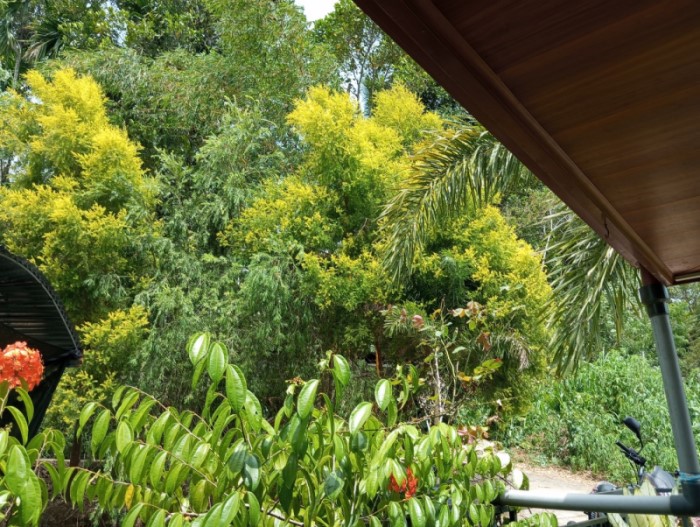 House  Near Uva Wellassa University