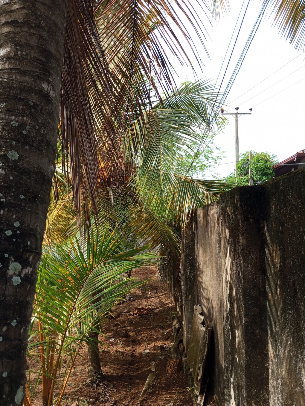 Two Storey House with 18 Perches in Lunawa, M