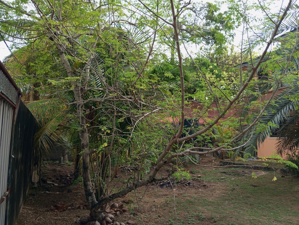 Two Storey House with 18 Perches in Lunawa, M