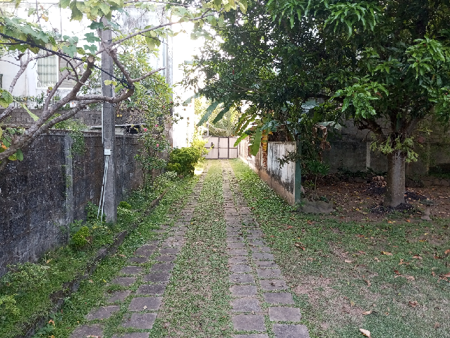 Architectural Designed Luxury House for Sale 