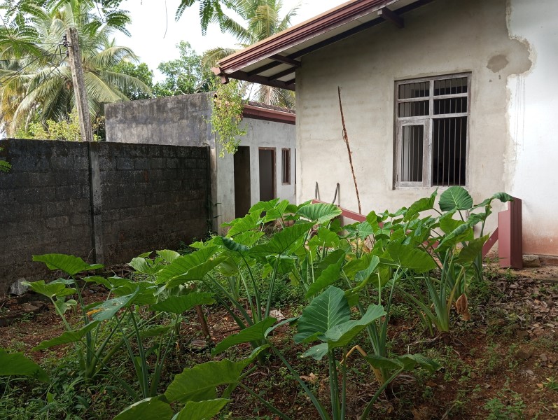 House for Sale in Polgasowita